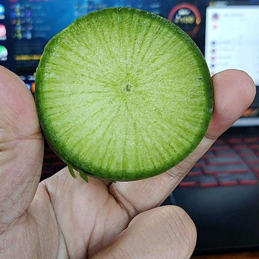 太纯粹了