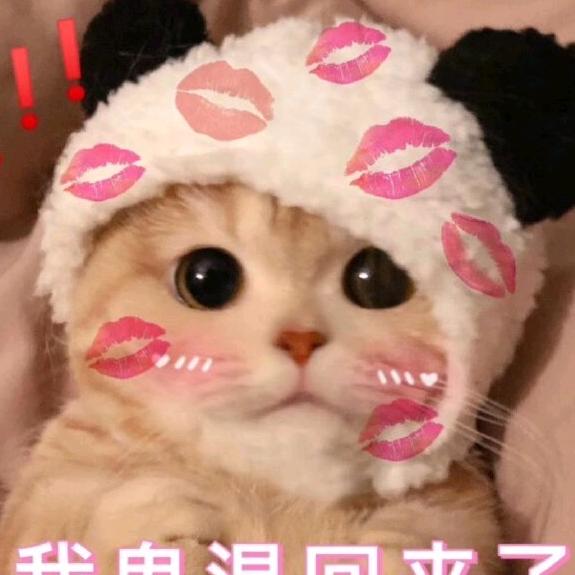 萝卜小游戏