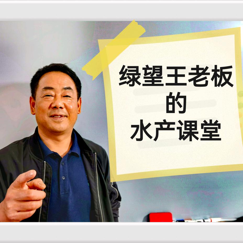绿望中华鳖