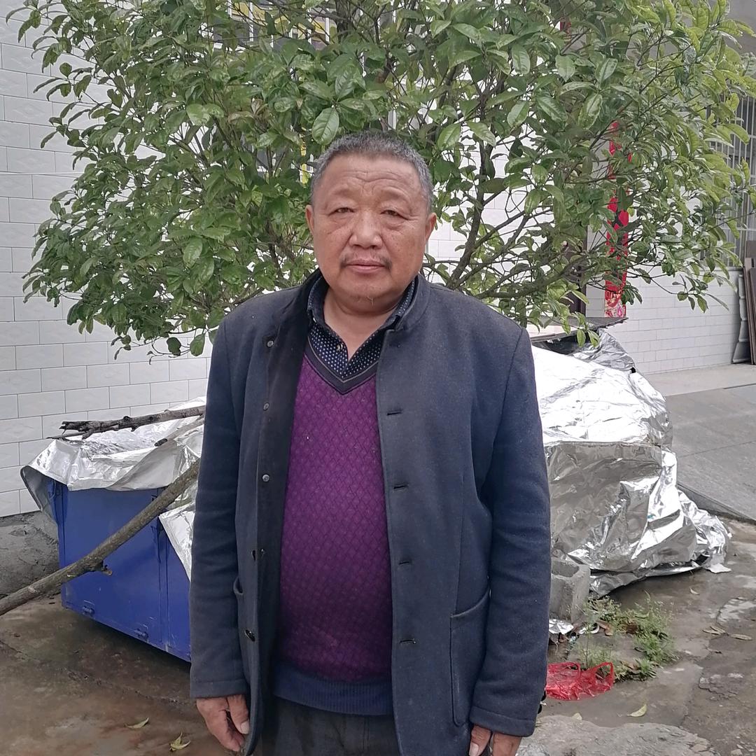 富贵花开（张国富）