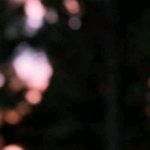 十月.