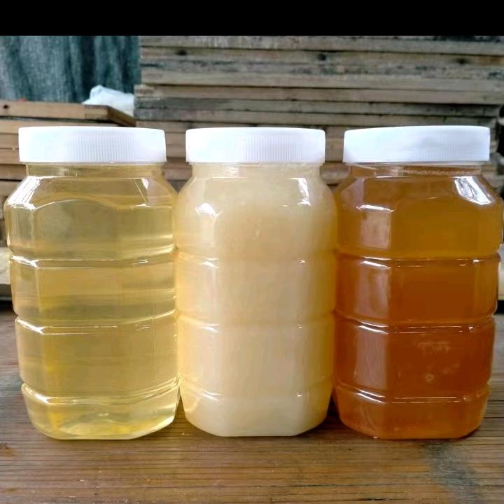 蜜蜂哥（🐝单）