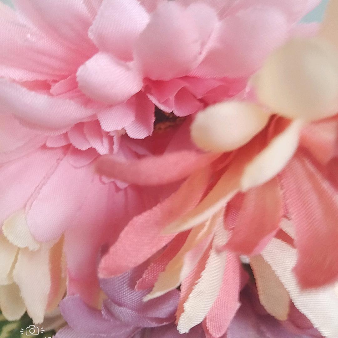 冰蓝玫瑰