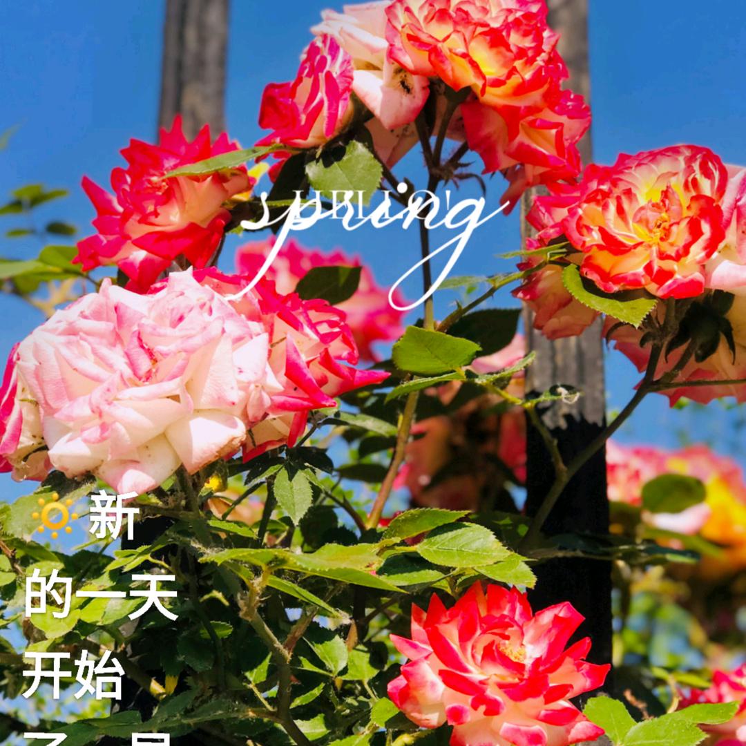 图南藏润