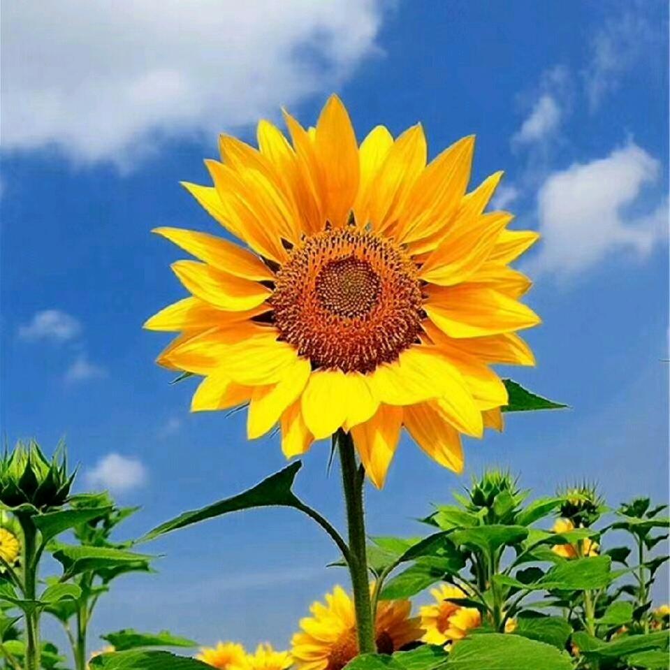 懂得珍惜才配拥有