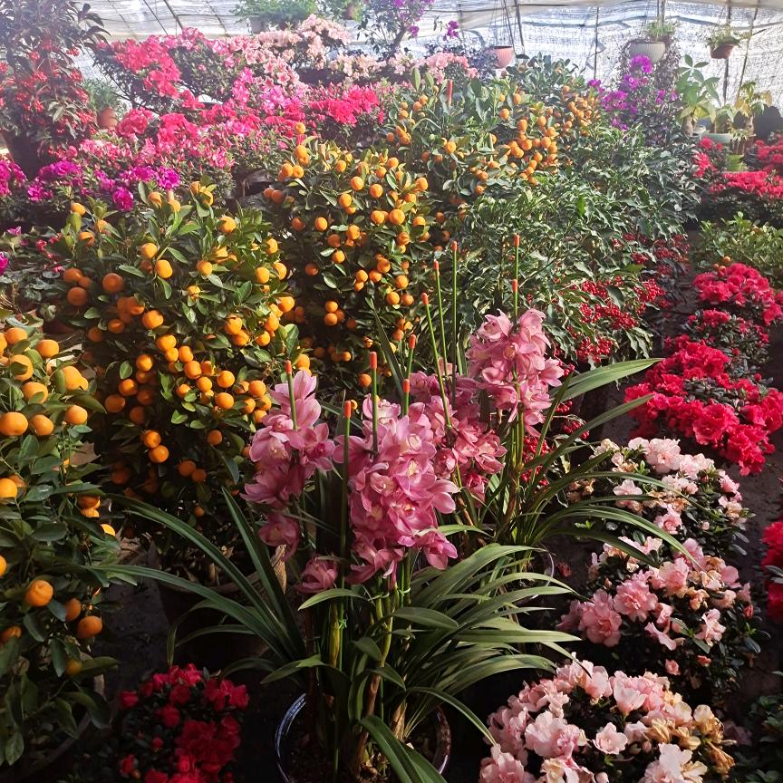 两个小棉袄呀，一个皮夹克😄😄