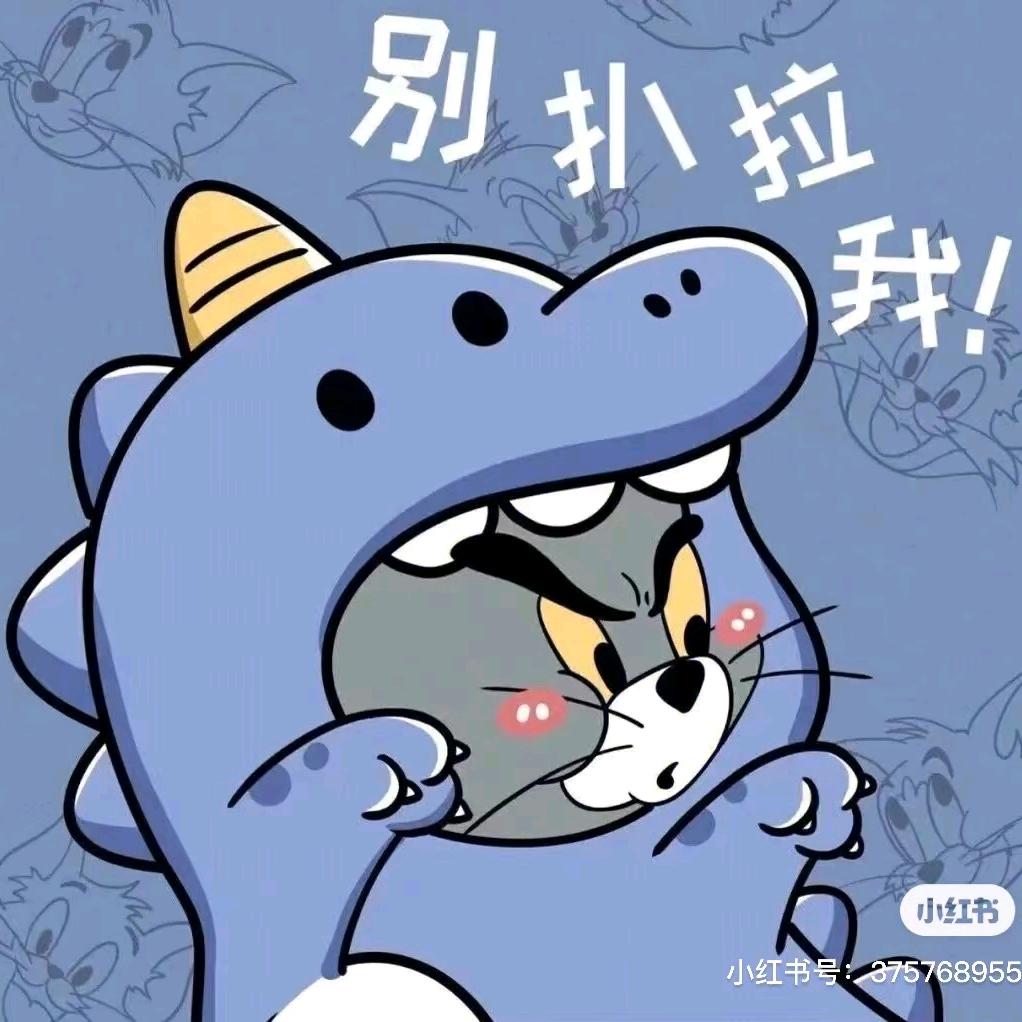 风声眠于海洋