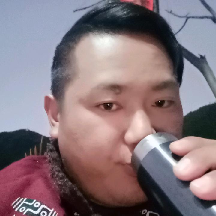 振忠