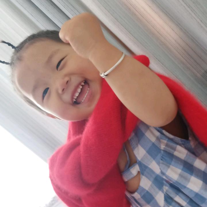 野鸭子