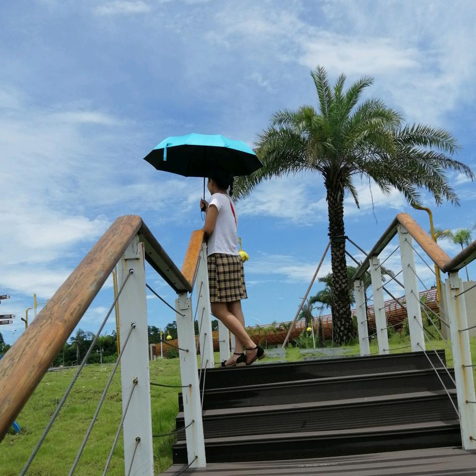 薰衣草🌹🌹🌹