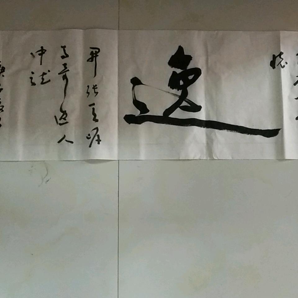 小牛的快乐记11