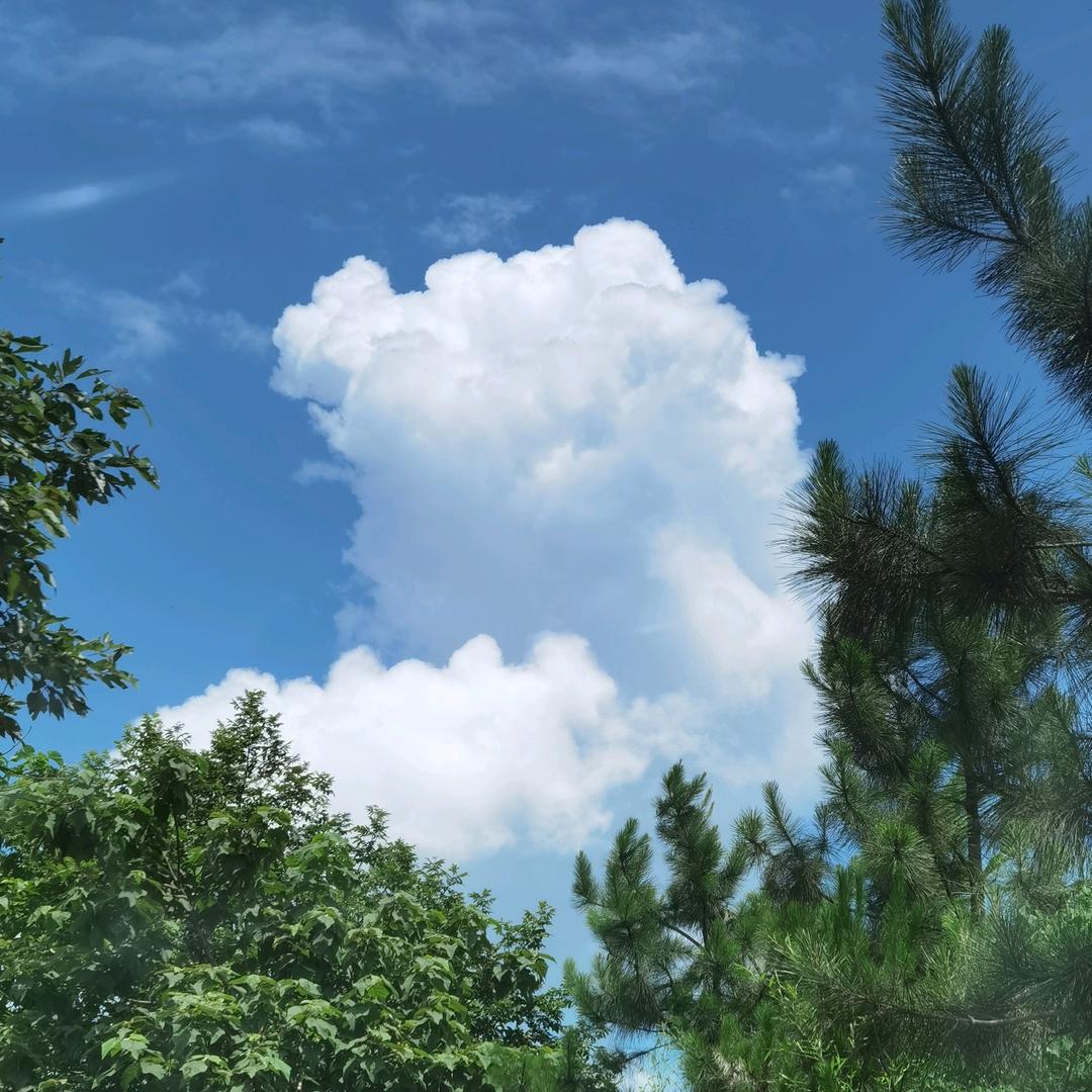 汪先生