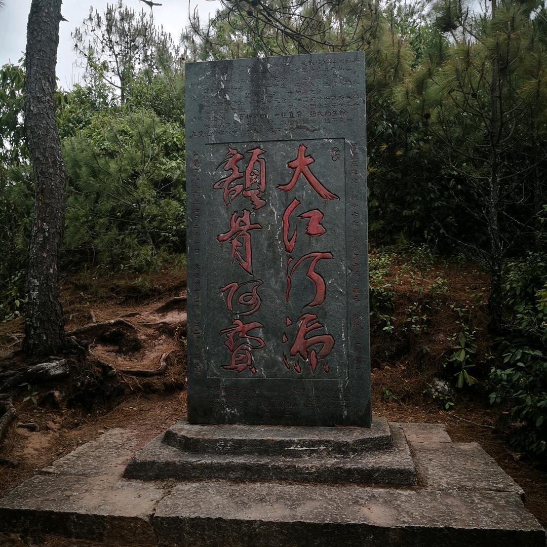 老糊涂