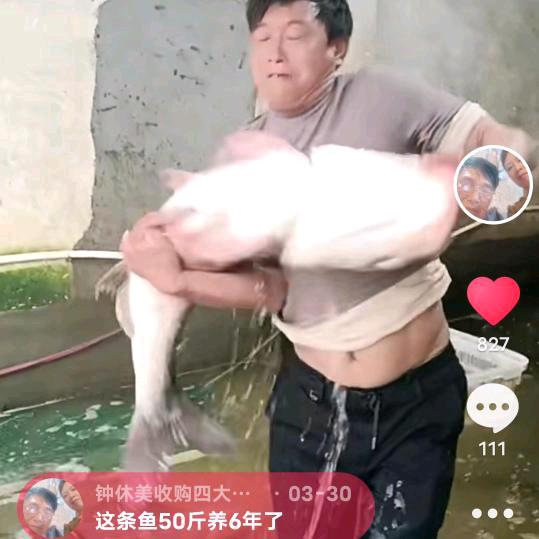 （董事长收购鱼🐟）