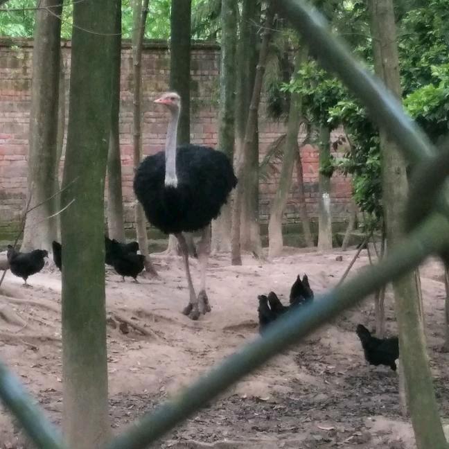 ^O^雨落依人*^_^*