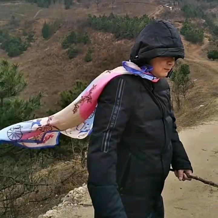 秦岭山人