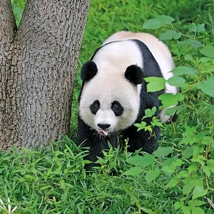 雨點淋湿思念💔💔