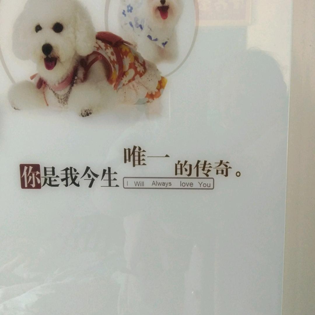 子默