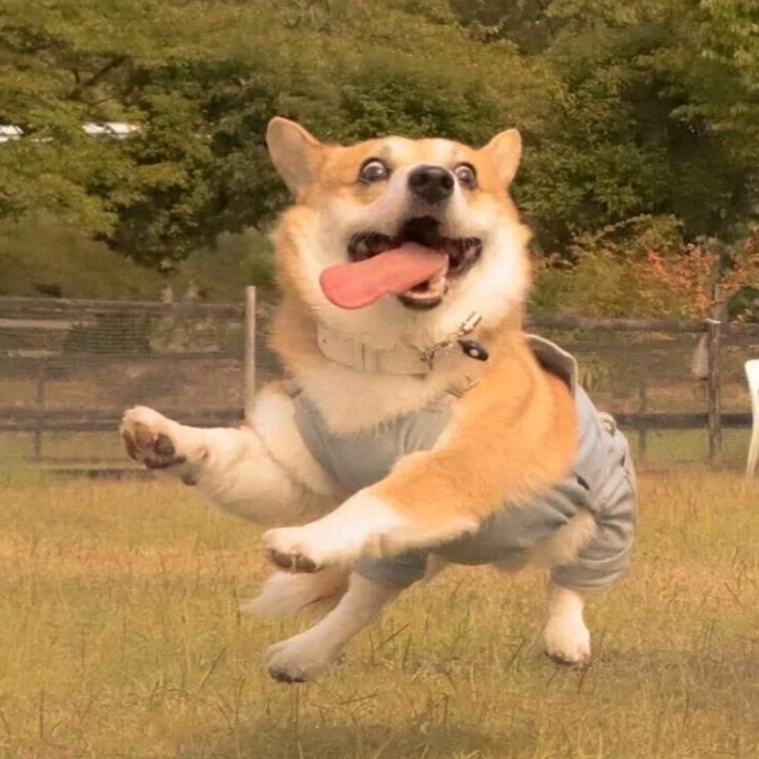 わかりません