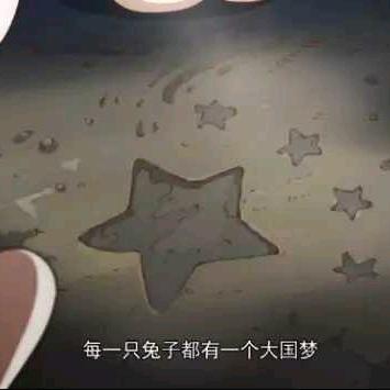 暮忆枫澈