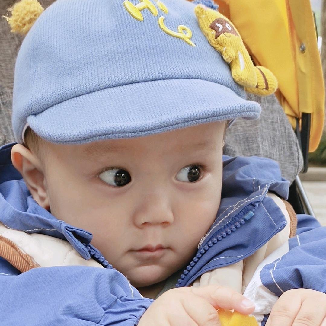 提灯💡老奴上线