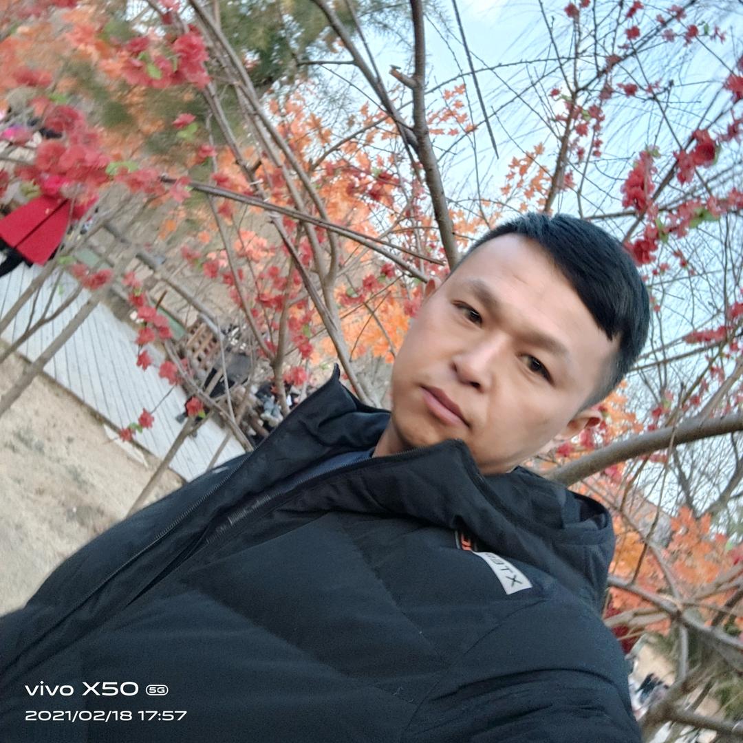 2025好运连连