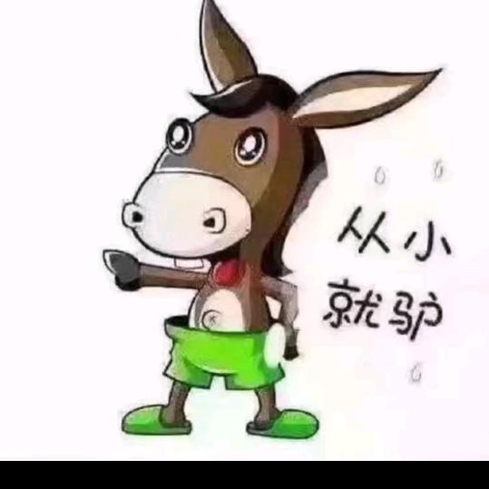 单只蝴蝶