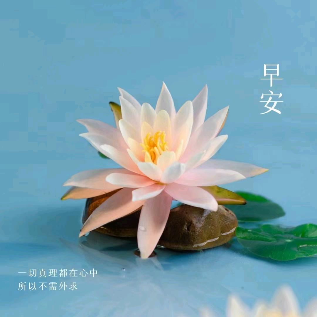 点