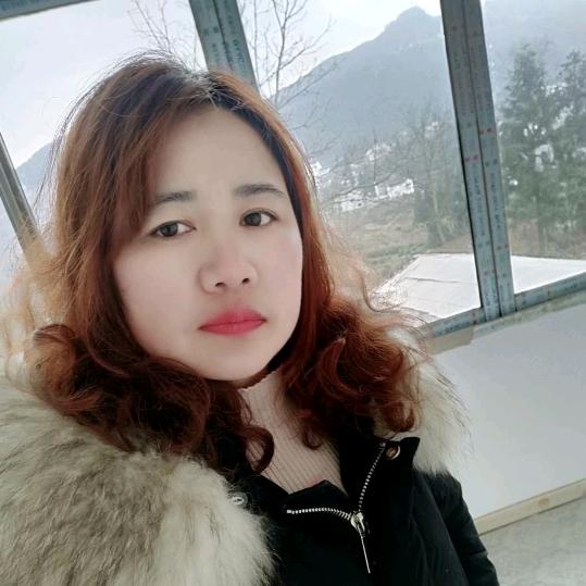 琴姐
