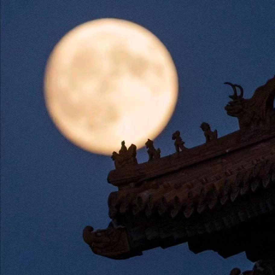 乐动力