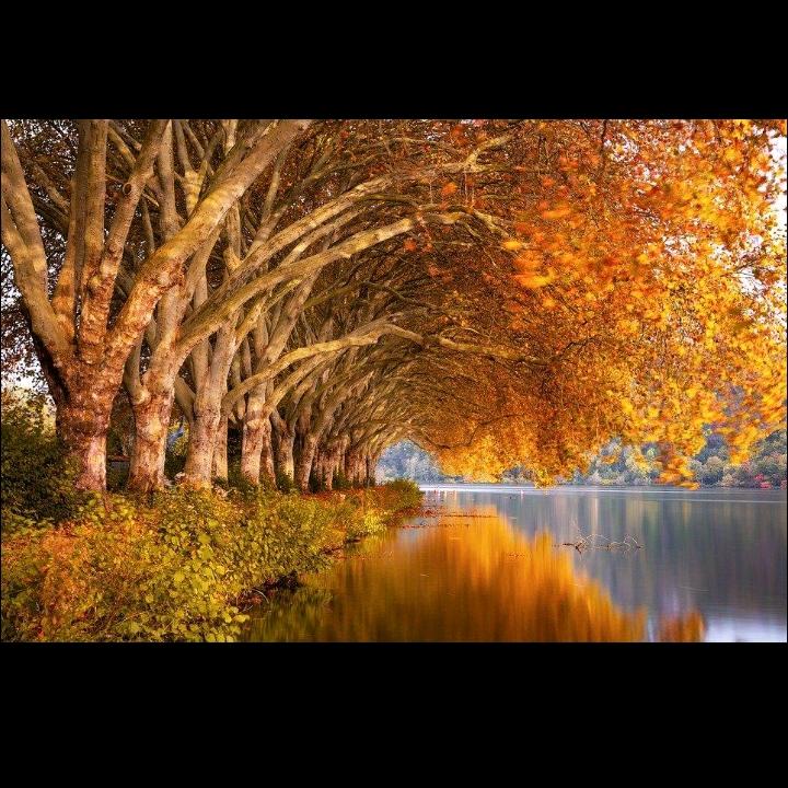 余生好好爱自己