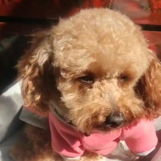 朵朵好好爱自己