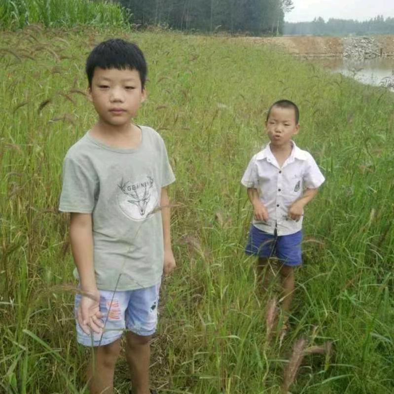 我是女王