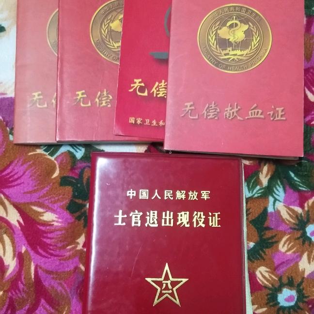 肥东小蚂蚁