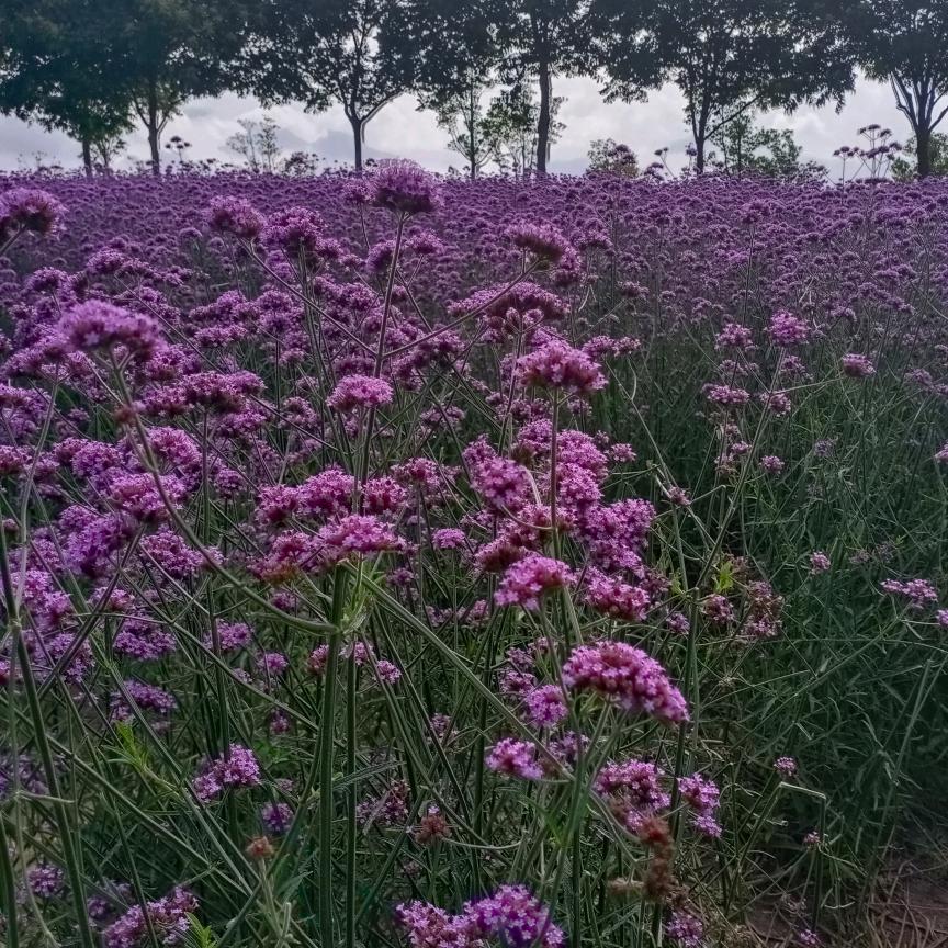 荔枝美发沙龙