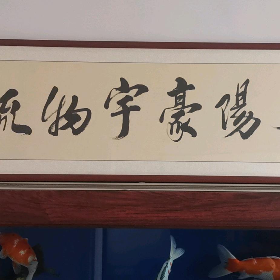 莱阳豪宇物流