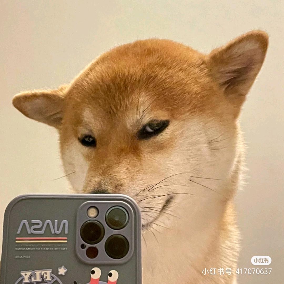 🌈    心总丶