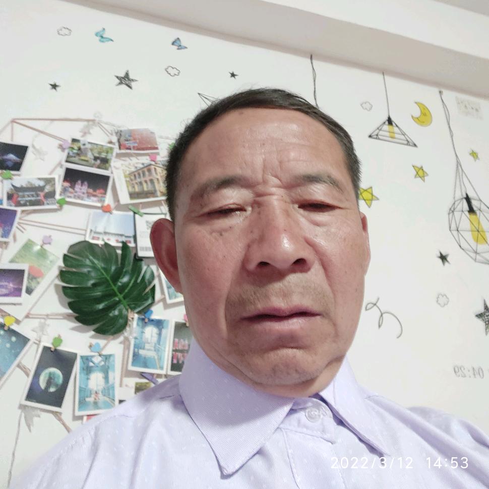树林生发