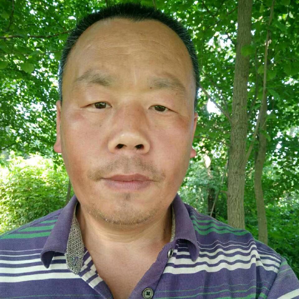 老张象棋飞刀