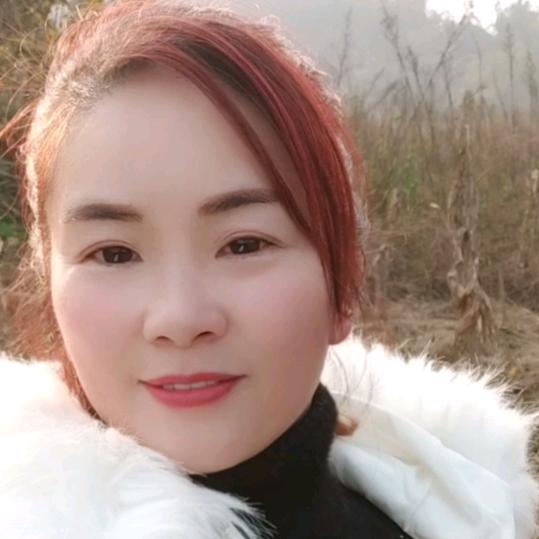 何幺妹旅游行