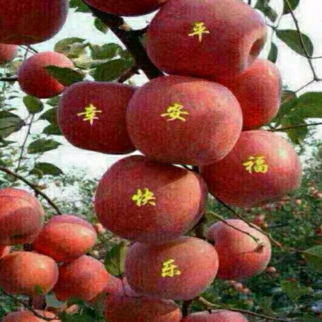 家和万事兴