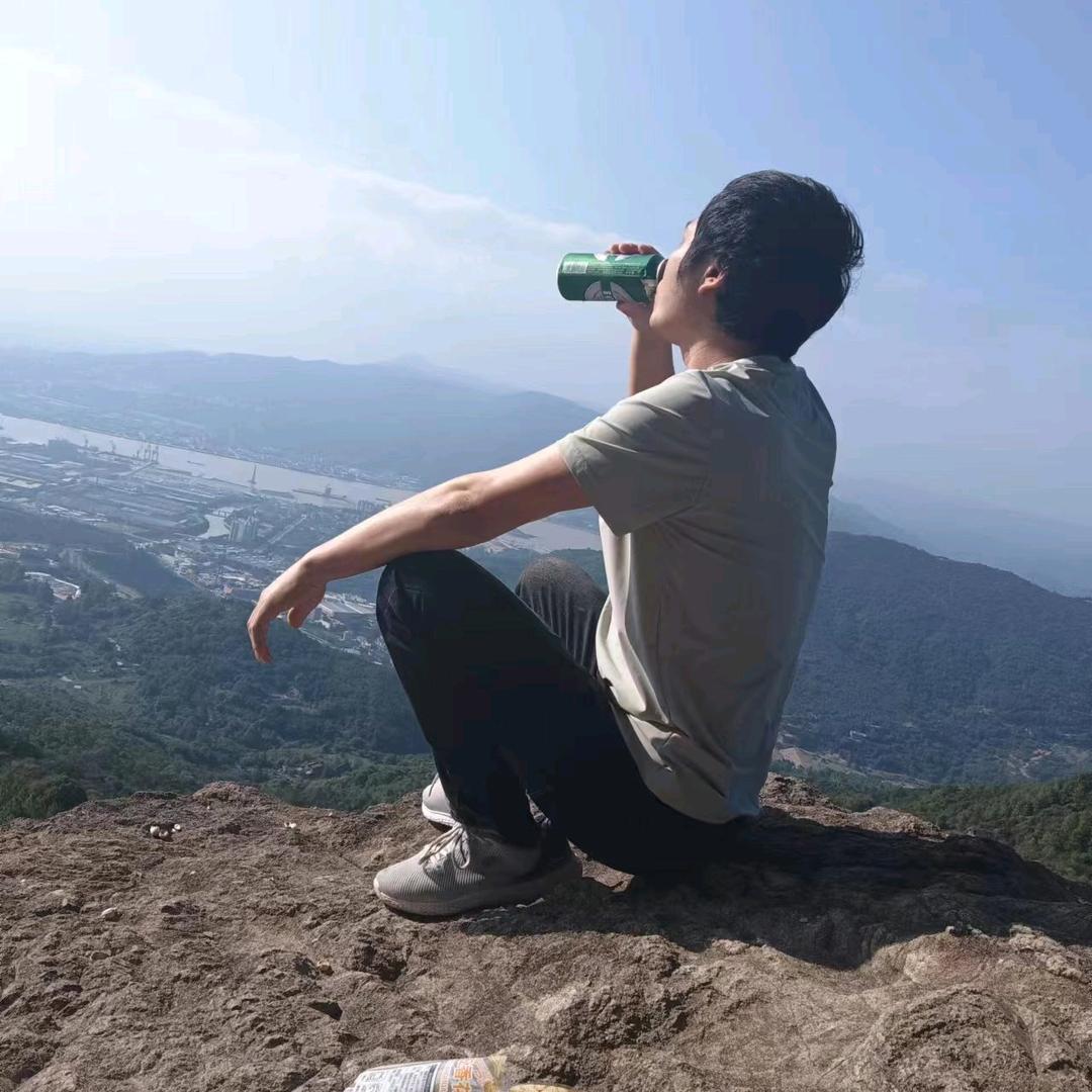 飞翔的燕孑