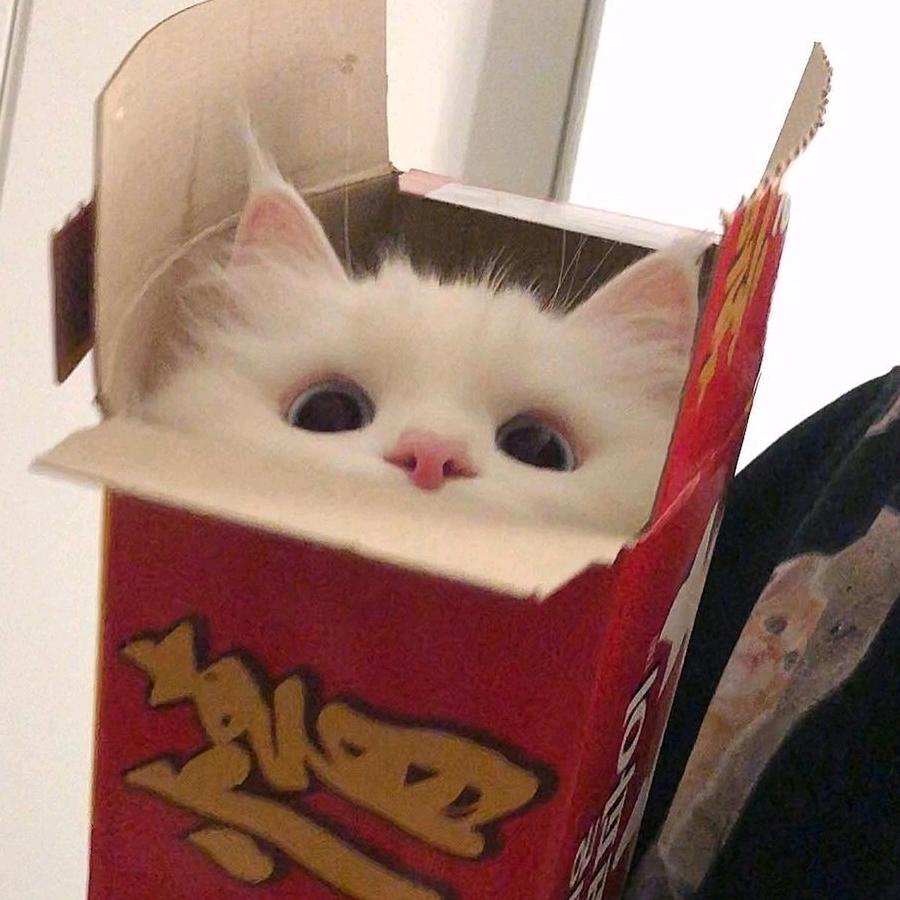 小徐不太甜