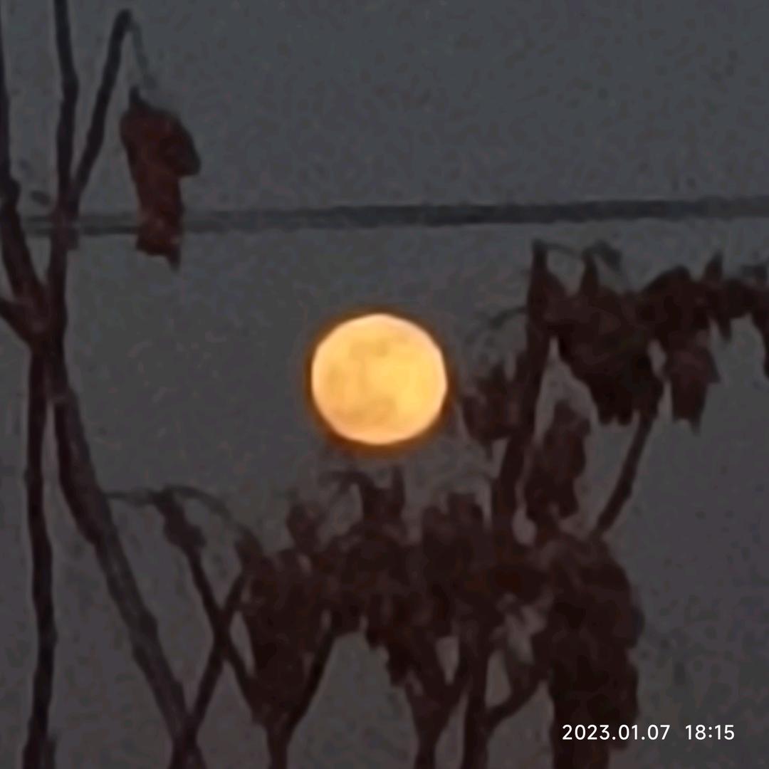 风逸.