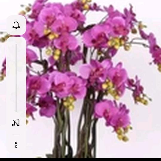 单亲妈妈