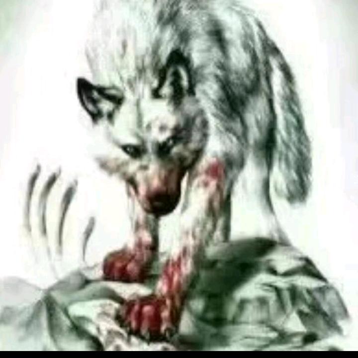 阿伟@