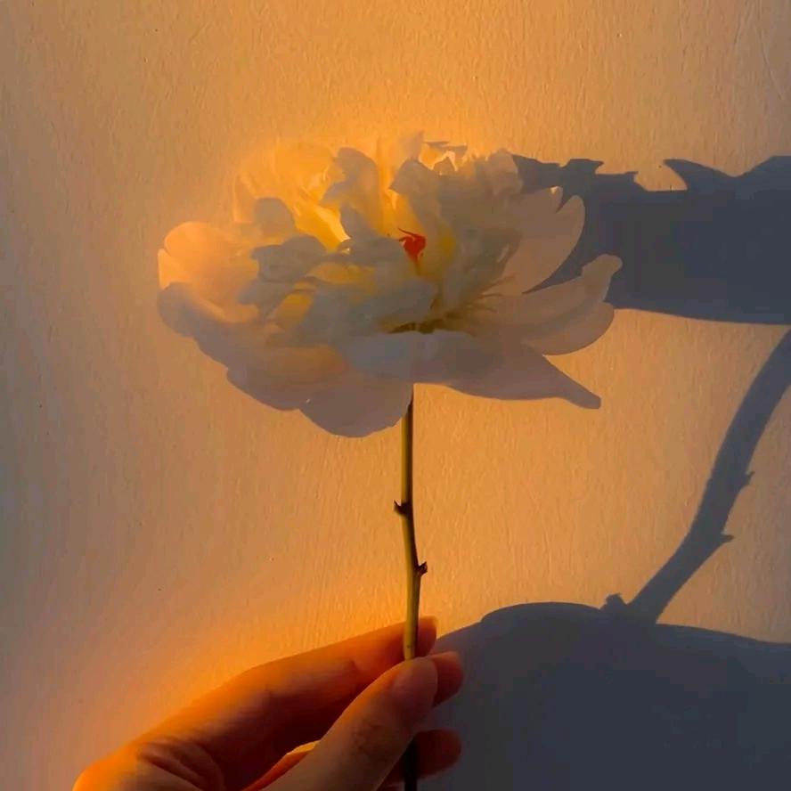 请修改我的名字