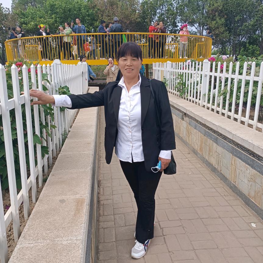 🌹荷塘月色🌹