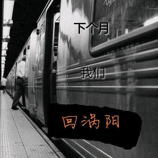 爱睡觉的小懒猫