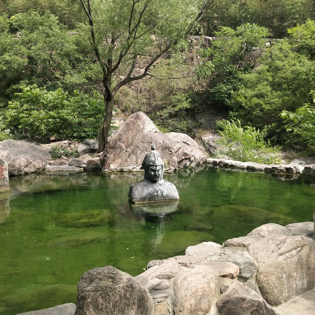 王浩屯镇雅迪